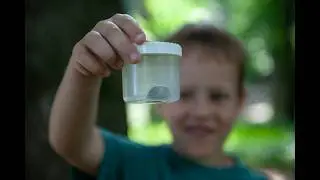 Na school de natuur in met Natuurcentrum Arnhem