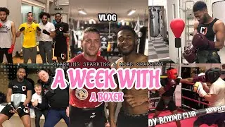 Weekly vlog: training + blackjack + a lot of sparring + famous faces at my gym