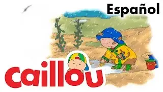 Caillou ESPAÑOL - El plato favorito de Caillou  (S03E08)