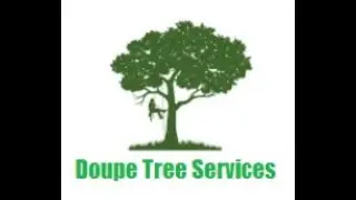 Doupe Tree Services / Affordable Tree Care & Maintenance In Fort Myers FL 33907