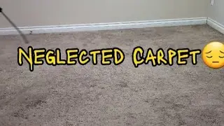 Saving this Neglected Carpet Using CRB Machine