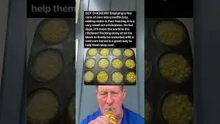 Freeze Cans of Corn With Water in a Muffin Tray To Give Chickens A Cool Treat On Hot Days.