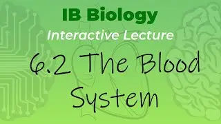 Mr. Leonard's IB Biology Course - 6.2 The Blood System (student handout in description)