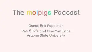 molpigs podcast #6: Erik Poppleton - Visualisation and Simulation of DNA systems