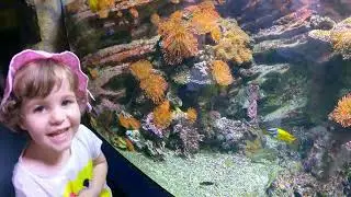 Discover one of the best Zoo in Europe, Nyiregyhaza Zoo in 4K