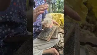 Old Traditional  way of Making Handmade wool #shortvideo #youtubeshorts