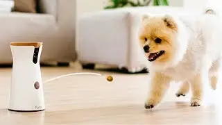 5 Cool DOG GADGETS every PET OWNER Must Have!