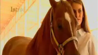 Wrangler Riding Jeans