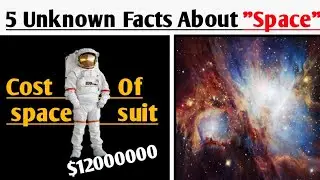 5 Unknown Facts About 