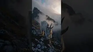 Mountain Goat Ascent