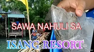 PHYTON SNAKE CAUGHT IN THE FRESH WATER RESORT IN ZAMBALES