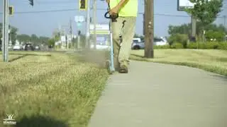 Commercial Lawn Care | WiseGuys Lawn & Landscape
