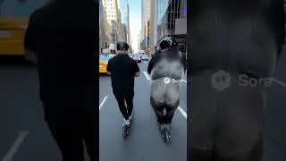 🦍 Jake Paul and Gorilla Ride Electric Scooters Through NYC &mdash; Pure Chaos 😂🦍⚡