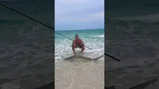 Catch and release Sandbar Shark