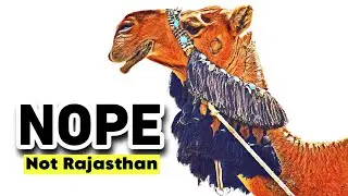 This Camel is not from Rajasthan | Ladakh Episode 11 | Nubra Valley