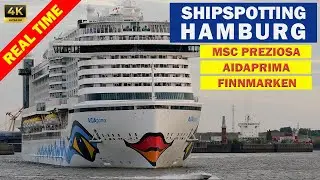 MSC PREZIOSA, AIDAPRIMA und FINNMARKEN - Drei Kreuzfahrtschiffe im Hamburger Hafen in Echtzeit