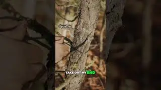 Master the Ranger Diamond Knot! Easy Steps for Perfect Execution #shorts #garandthumb #survival