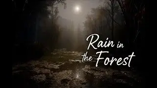 Rain Sounds in a Quiet Forest at Night &mdash; Peaceful Ambience for Deep Sleep, Relaxation & Focus (8H)