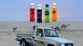 حفل الزواج الجماعي الأول محافظة شبوه مديرية بيحان منطقة الحرجه برعاية شركة ريم