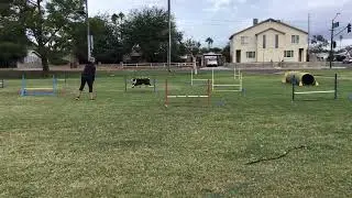 Noob Elite Jumpers run 1 Jess