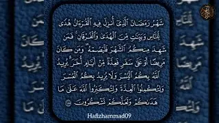 Tilawat Quran/Hafiz hammad beautiful voice/Heart touching voice/Tilawat Quran recitation 