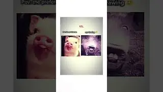 Pov. Preference vs. my drawing  who can relate ?