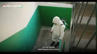 Step Cleaning & Pest Control: A Cleaner, Safer Home!