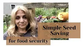 Simple Seed Saving for Food Security