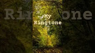My Ringtone #music #shorts #shortsfeed #myringtone @spideyart123 #bestmusic #pleasantmusic