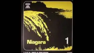 Polysick &ndash; Niagara (Polysick Afghanistan Version)