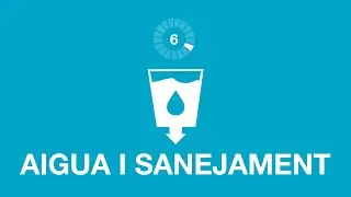 6 Aigua neta i sanejament