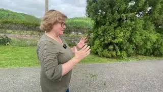 Episode 11 Where in West Virginia is Mr. Casto? - Salt Making in the Kanawha Valley