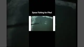 Старинные кадры подводной охоты на щуку!