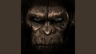 BENOBO