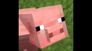 Minecraft but if I breathe the video ends