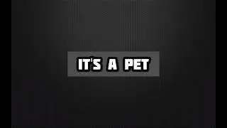 It's a pet sound effect