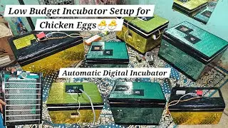 Automatic Eggs Incubator | Ready Stock | Incubator Setup for Chicken Eggs | Full Process Explained