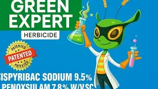 Green Expert Herbicide Review | Powerful Weed Control 