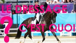 #2 Le Dressage Pour Les Nul (Explication, Histoire, Jugement,Notes...)