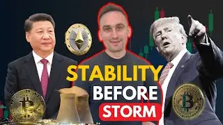 Gold Is Euphoric, Crypto Is Headed for One Final Flush | The Daily Hunt