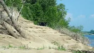 Нижняя Волга,ландшафты острова Вязниковский.