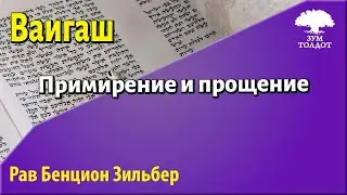 Глава Ваигаш. Рав Бенцион Зильбер