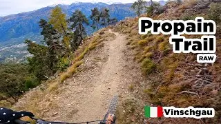 Propain Trail RAW (Top to Bottom) - Schlanders/Vinschgau
