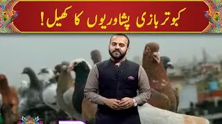 Dil Peshori | 3rd-October-2020 | Mashriq TV