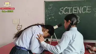 🔬 