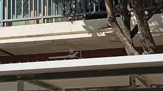 Unknown mini ceiling fan by porch
