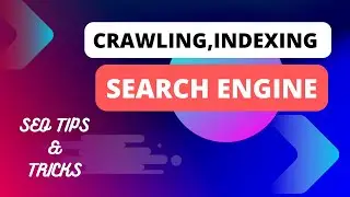 How Search Engine Works?| Crawling, Indexing and Ranking