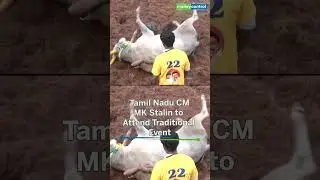World-famous &lsquo;Jallikattu&rsquo; begins in Alanganallur on the third day of Pongal