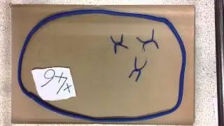 Cell division, GCSE Biology B2 revision video