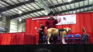 Shorty Rossi & Hercules @ San Antonio Pet Expo